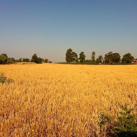 Szálloda Onda Bleu 3*