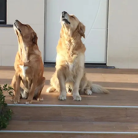 Onda Bleu Botricello