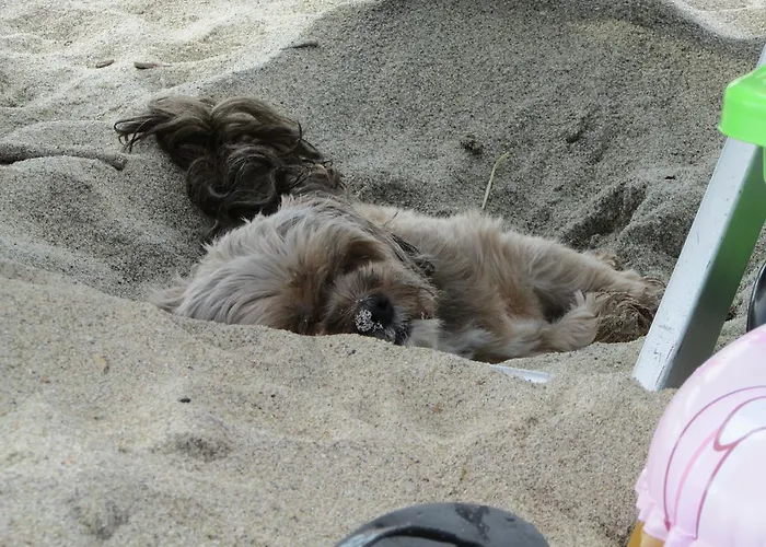 昂达布鲁酒店 酒店