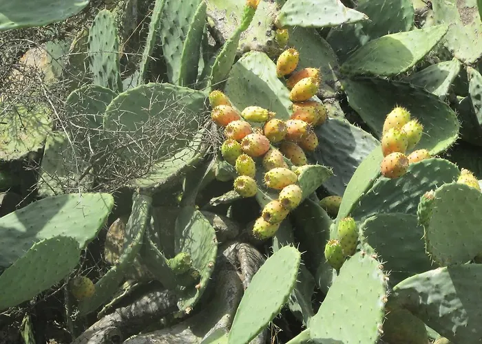 昂达布鲁酒店 3*