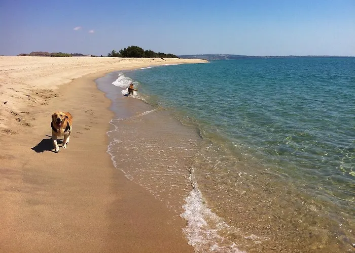 酒店 昂达布鲁酒店 3*