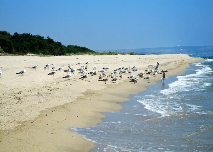昂达布鲁酒店 酒店