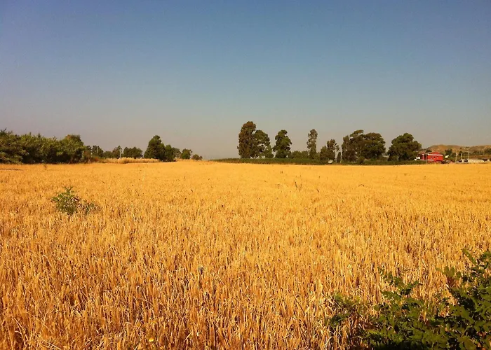 酒店 昂达布鲁酒店 3*