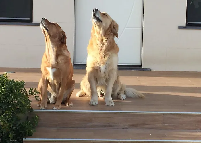 Onda Bleu Botricello