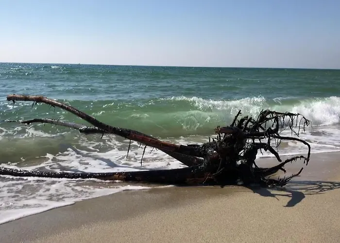 Hotel Onda Bleu Botricello