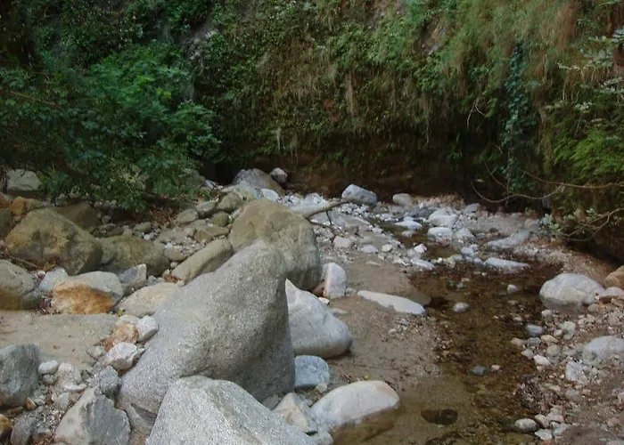 昂达布鲁酒店 酒店 博特里塞罗